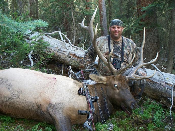 Colorado Elk Hunting Unguided Semi Guided Self Guided Elk Hunts