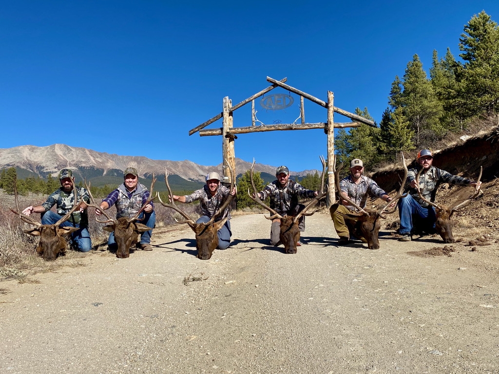 Colorado Elk Hunts Colorado Elk Hunts
