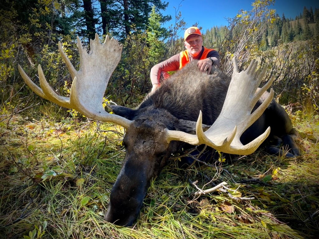 Colorado Moose Hunts Colorado Moose Hunts